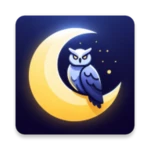 Logo of Night Screen android Application 